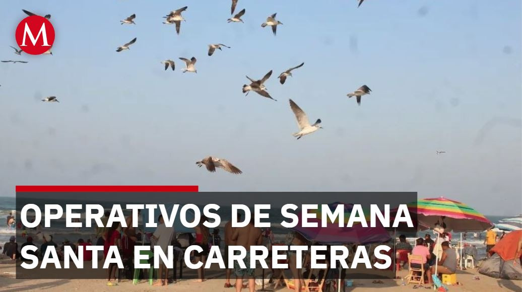 Operativos de seguridad de semana santa en carreteras: General Alejandro Rivas