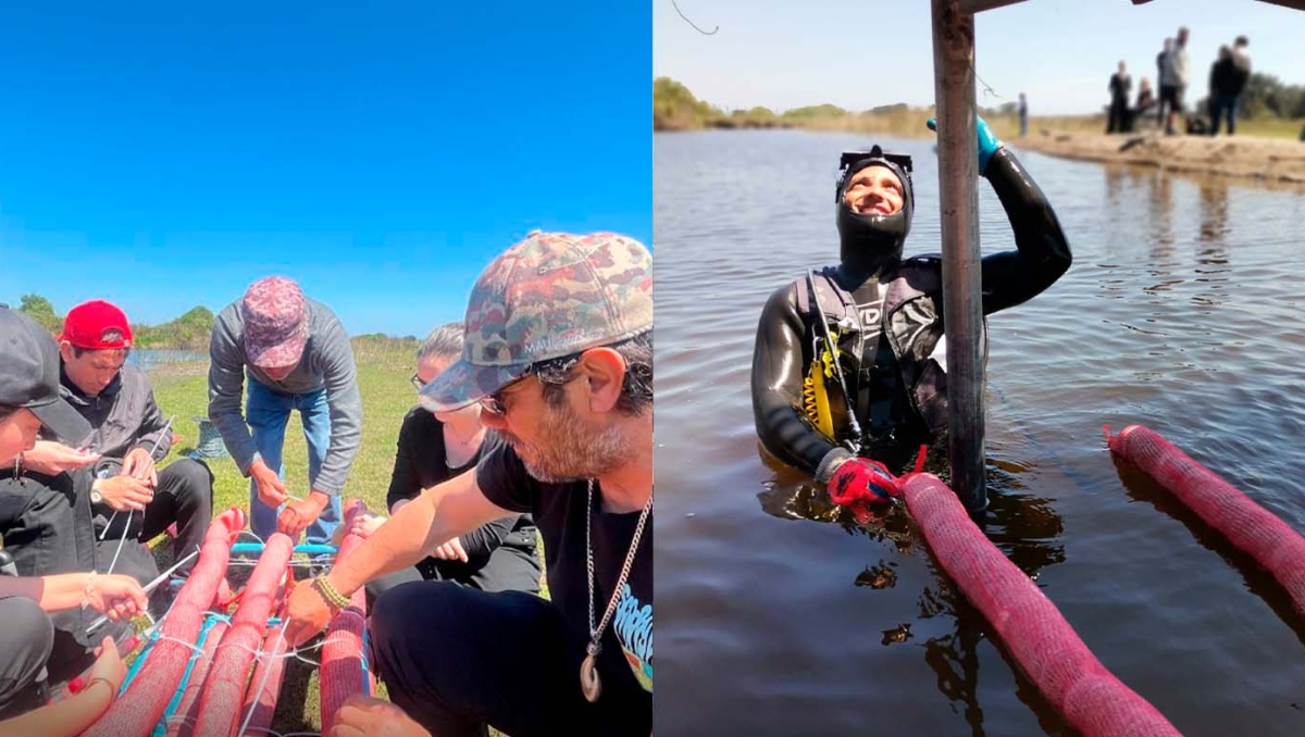 Petropelo: El sistema que usa el cabello humano y animal para filtrar contaminantes del agua