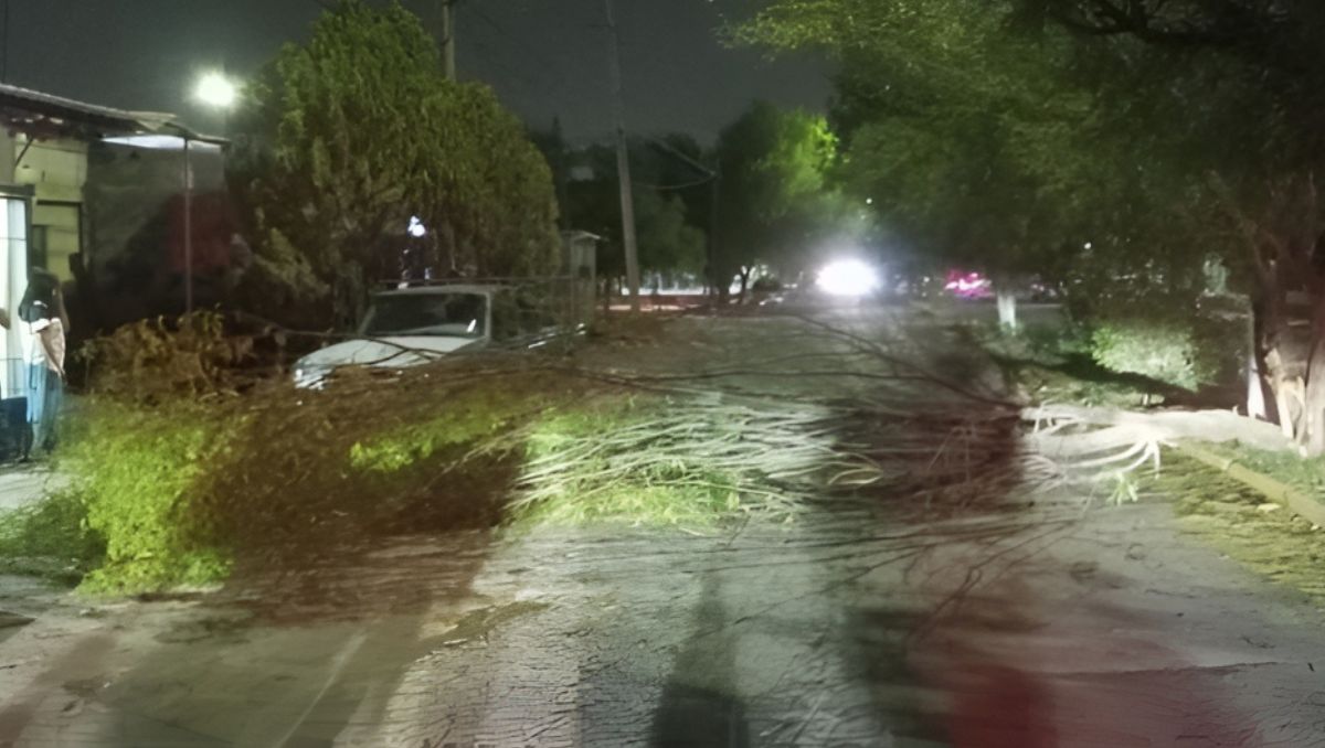 La tolvanera provocada por el frente frío 42 sorprendió la tarde-noche del viernes. | Especial