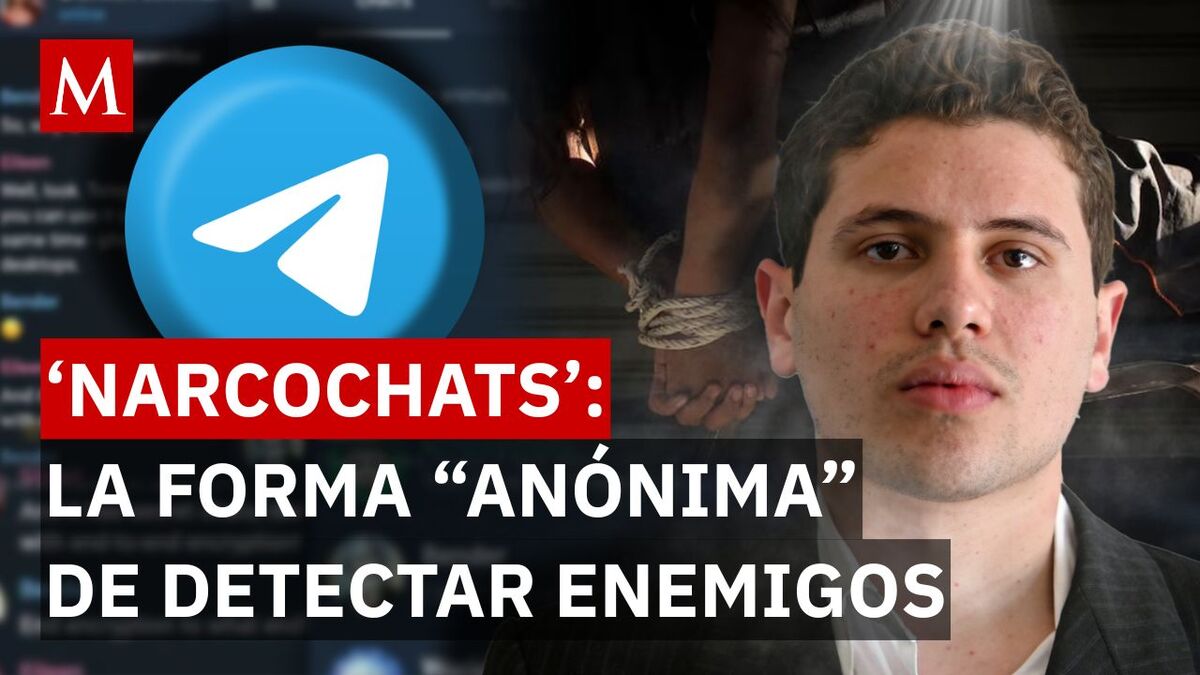 Los Chapitos' y Telegram: el peligroso sistema de denuncias anónimas sin pruebas reales