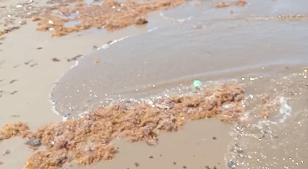 Derrame de hidrocarburo. | Foto: Captura de pantalla