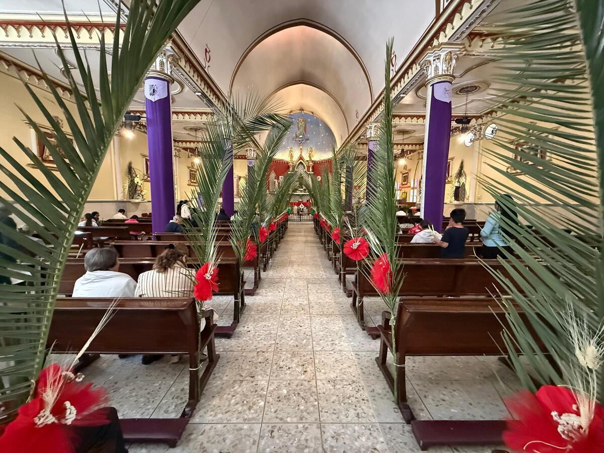 Domingo de Ramos en CdMx. | Jorge Carballo