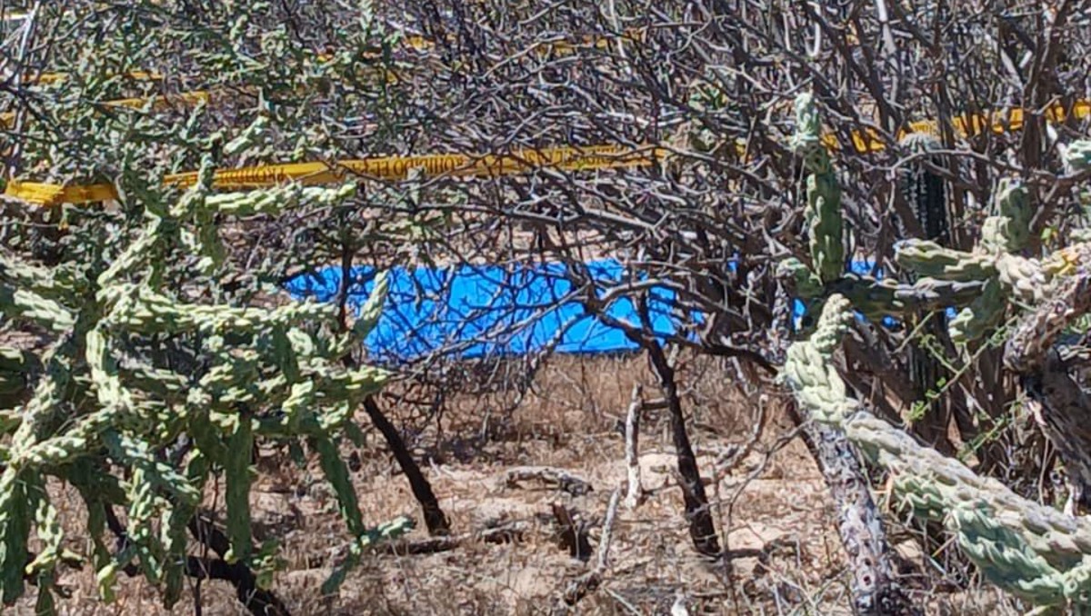 Encuentran restos humanos tras localización de fosas clandestinas en El Cajoncito, BCS.