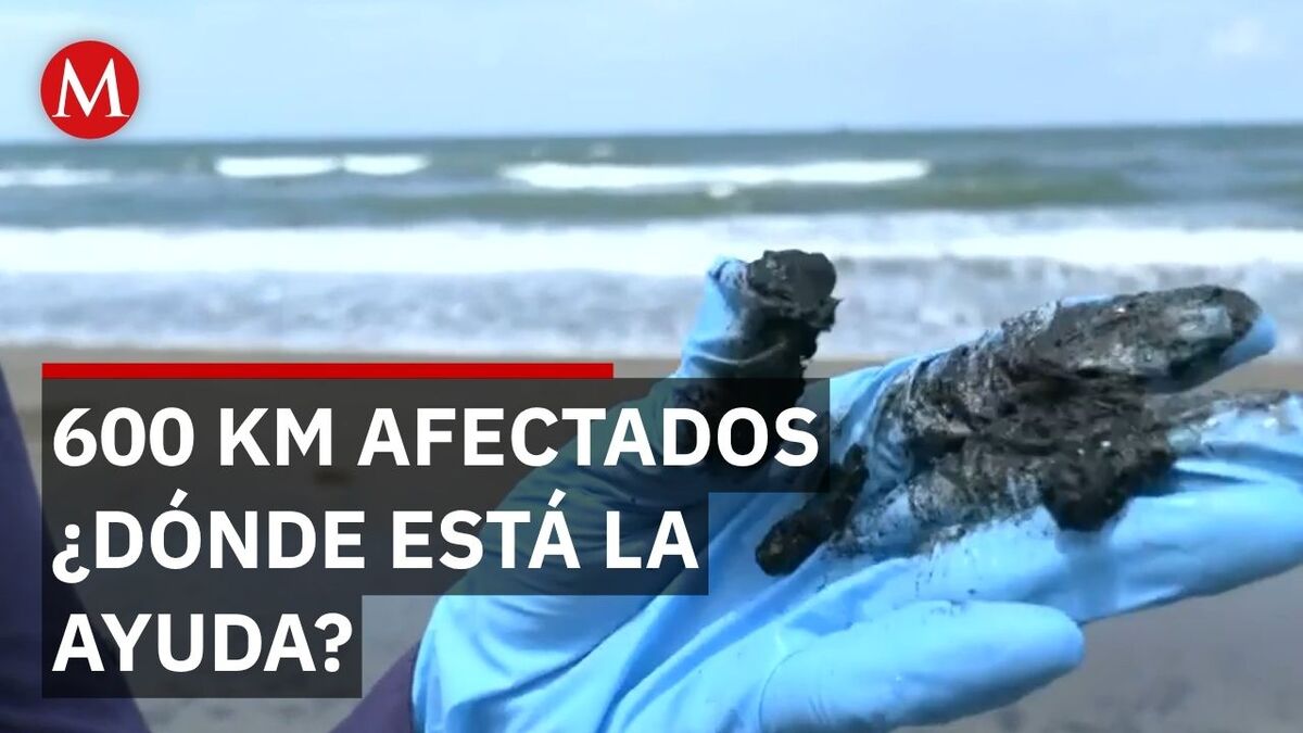 Peces se alejan y tortugas mueren por hidrocarburos, el impacto ambiental en Veracruz