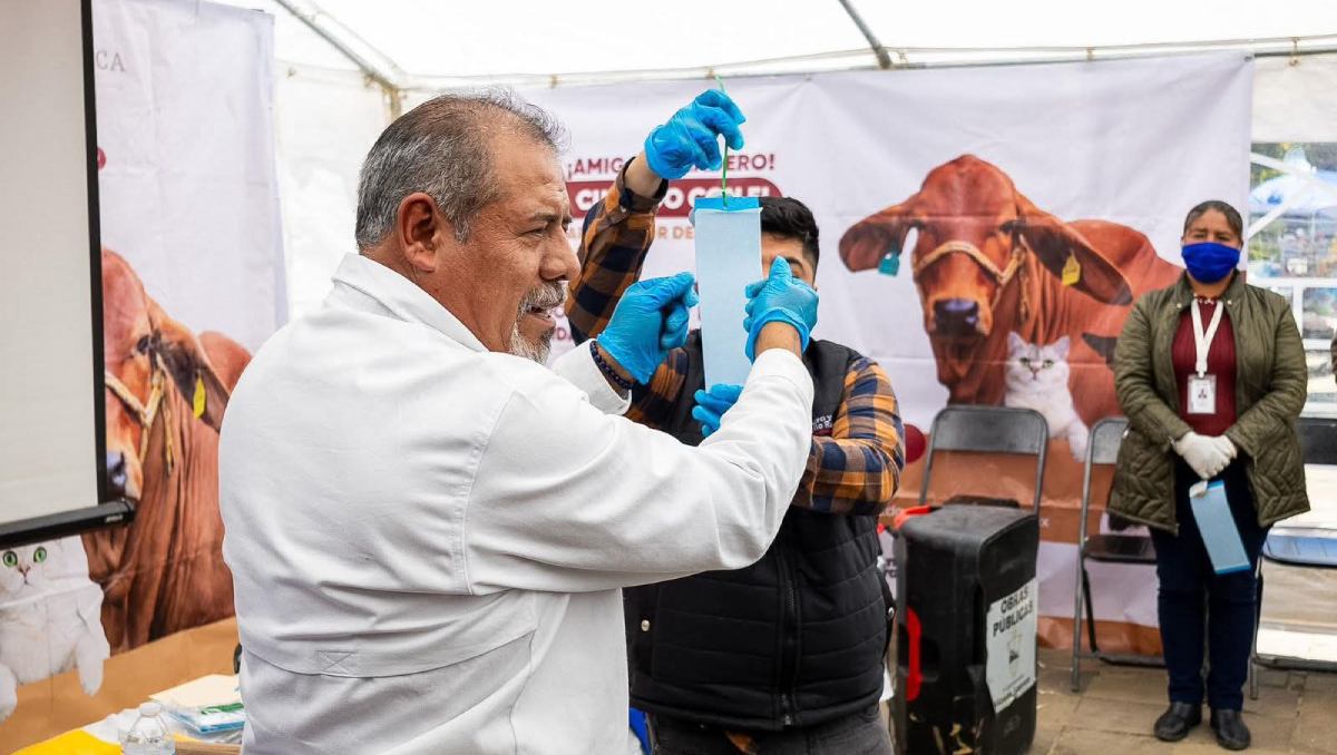 Los trabajos se desplegaron en municipios como Zoquitlán, Eloxochitlán, Vicente Guerrero, Ajalpan y San Sebastián Tlacotepec. | Carolina Espinosa