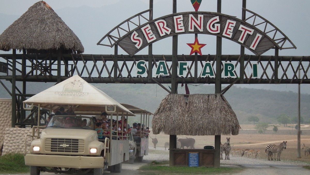 El acceso sigue siendo gratuito para menores de un año. Foto: Archivo