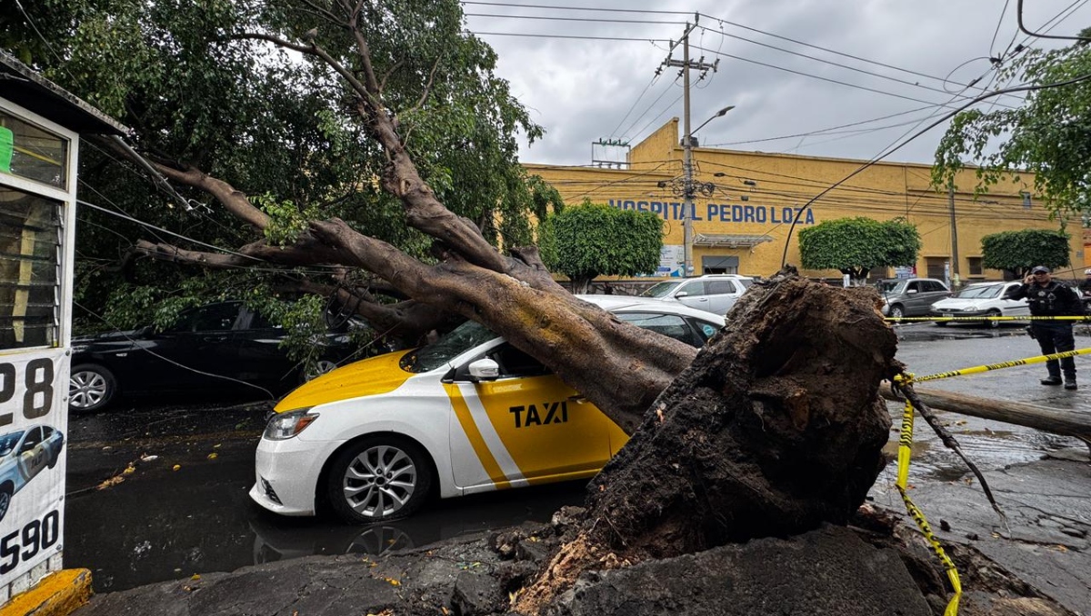 El conductor del taxi sobrevivió de milagro, pues alcanzó a agacharse y salir por la puerta del copiloto (Foto: Usi Toledo)