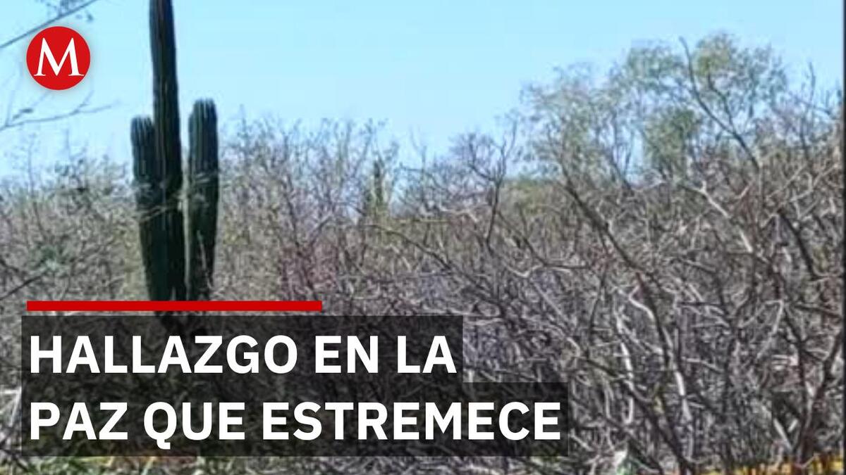 Hallan 6 osamentas en fosas clandestinas de La Paz, Baja California Sur