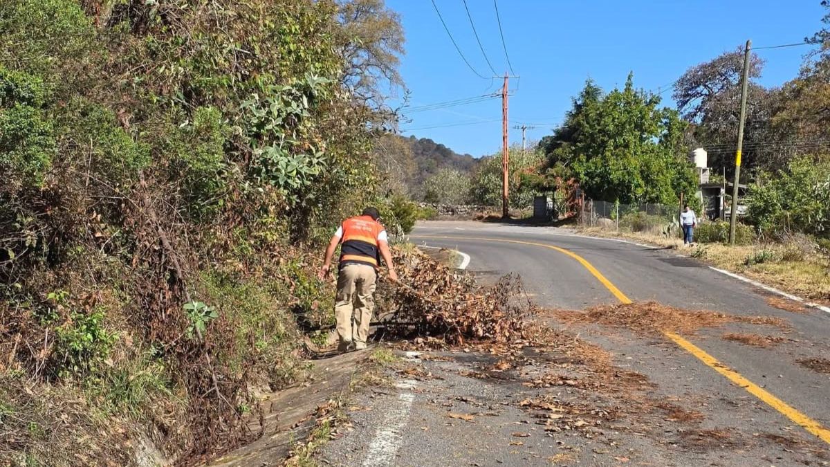 Elementos de seguridad atienden la situación de manera coordinada para proteger a los habitantes de Xichú