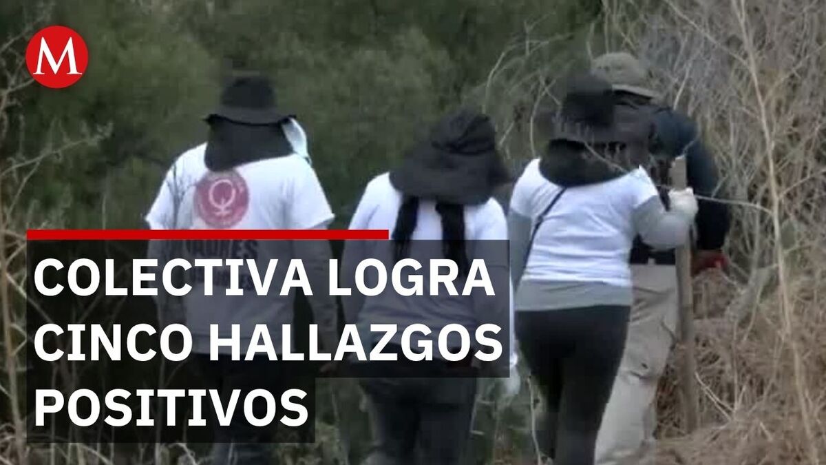 Hallazgo inusual: Localizan más de 20 credenciales de elector en un canal