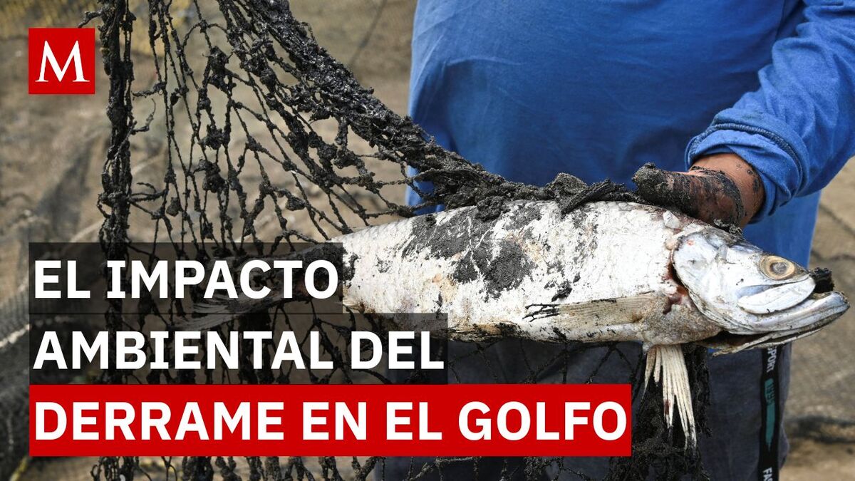 ¡170 km de crudo! La crisis ambiental que recorre Veracruz y Tabasco