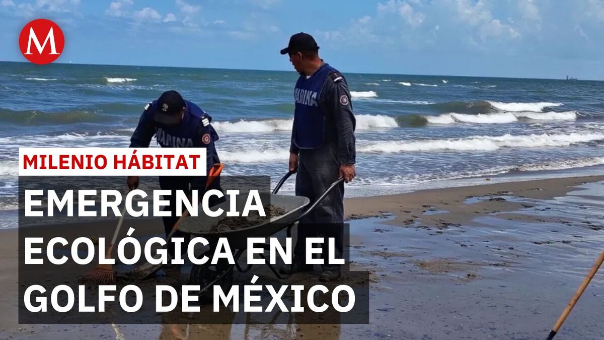 Marina y pobladores realizan limpieza en playas de Veracruz | Milenio Hábitat