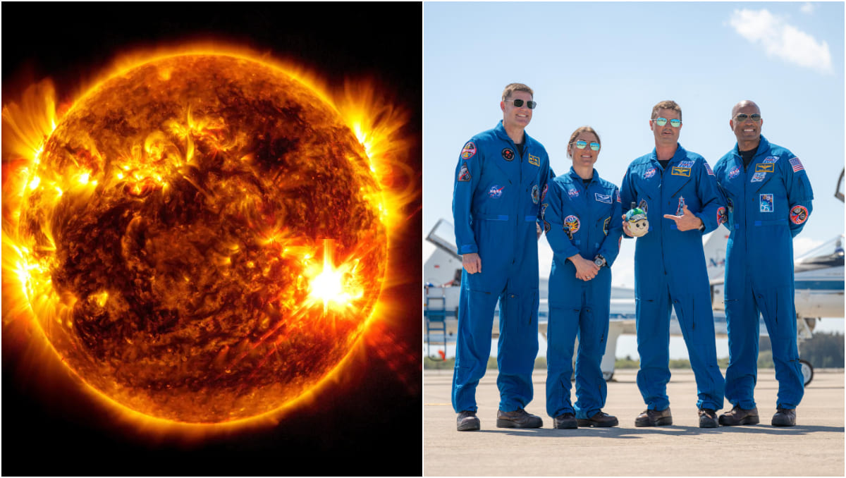 La NASA aseguró que se mantendrá atenta a la actividad solar de cara al lanzamiento de Artemis II. | NASA