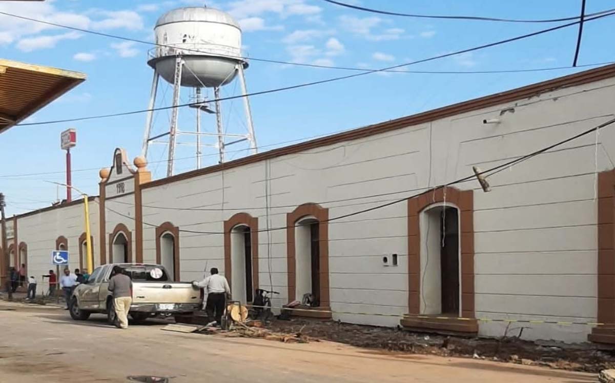 Retiran árboles de la presidencia de Lerdo. | Foto: Luis Alatorre