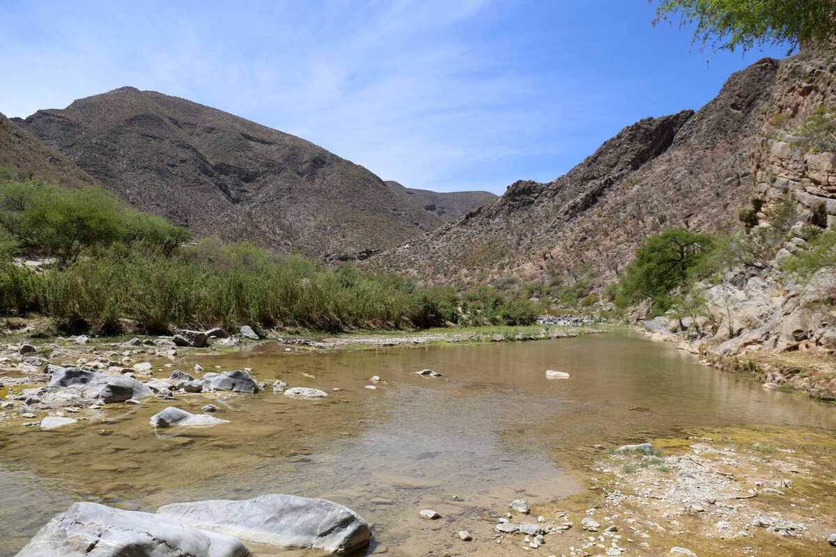 Analizan el impacto causado por vehículos todo terreno durante el evento ‘Jimulcazo’ en la Sierra y Cañón de Jimulco.| Archivo.