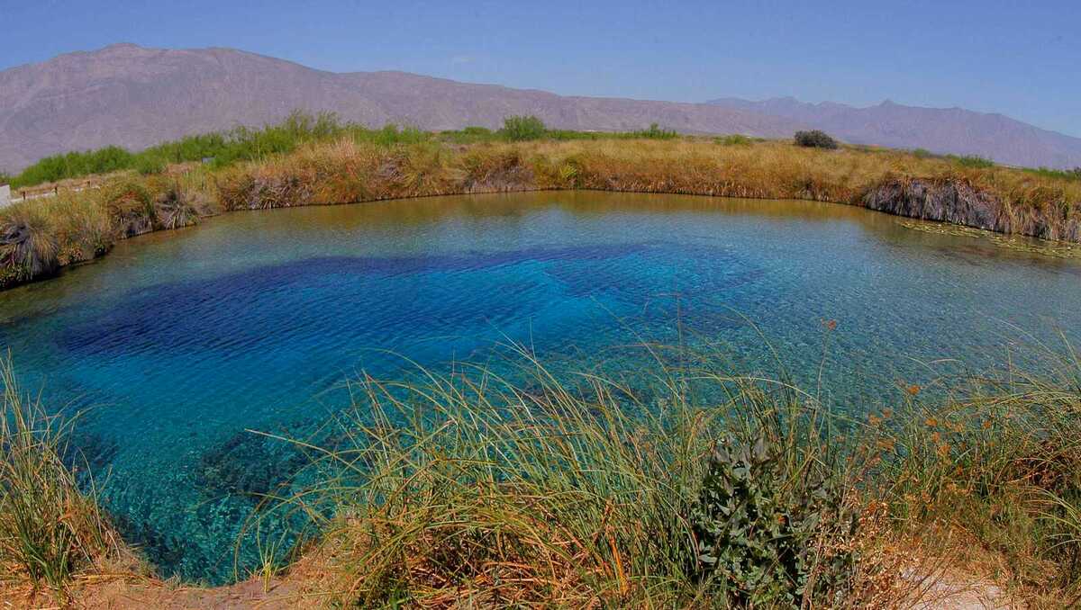 La decisión fue producto de acuerdos entre el gobernador Manolo Jiménez y la Secretaría de Medio Ambiente Federal.| Manuel Guadarrama.