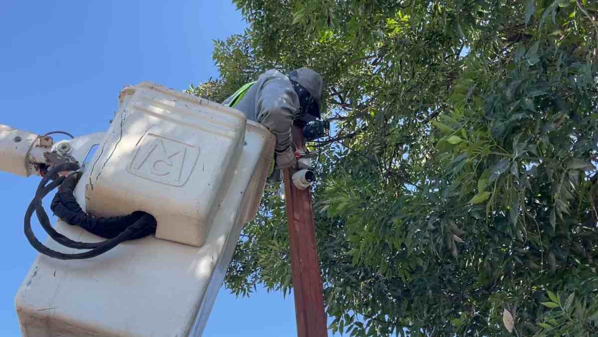 Durante 2025 fueron retiradas 205 cámaras, mientras que en lo que va de 2026 ya suman 47 dispositivos más. Especial