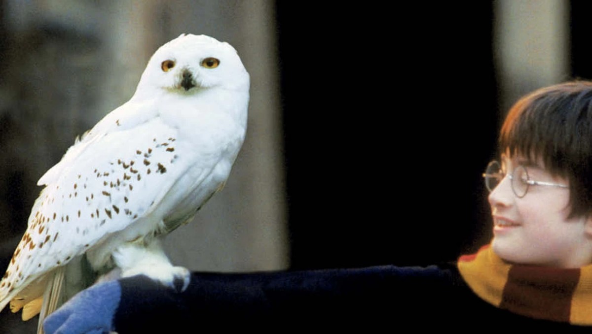 Más protección para la especie que aparece en la película. | Especial