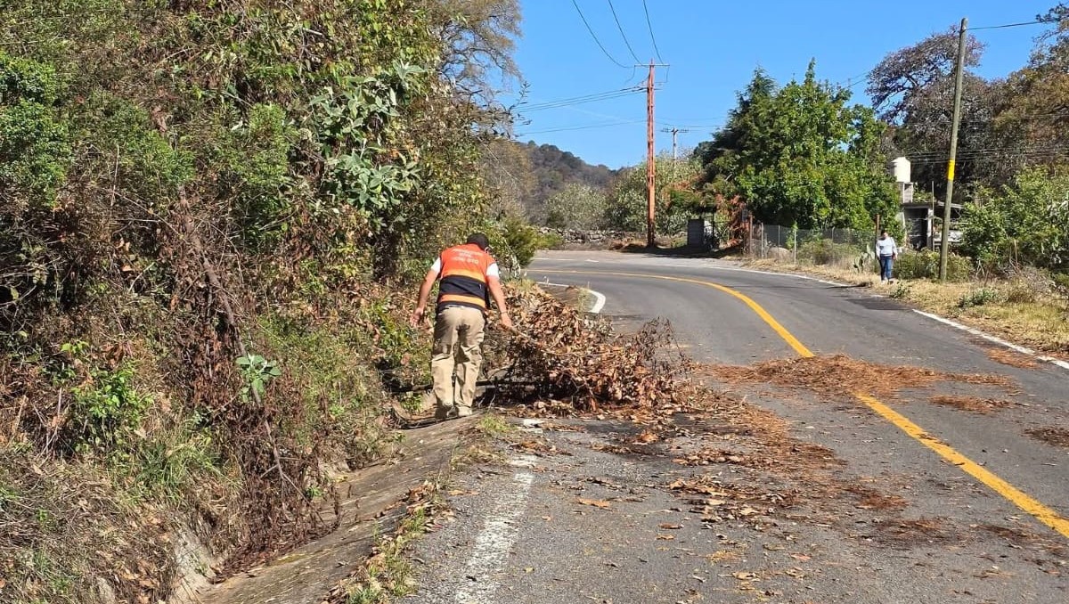Xichú: restablecen energía eléctrica en 10 comunidades | Especial