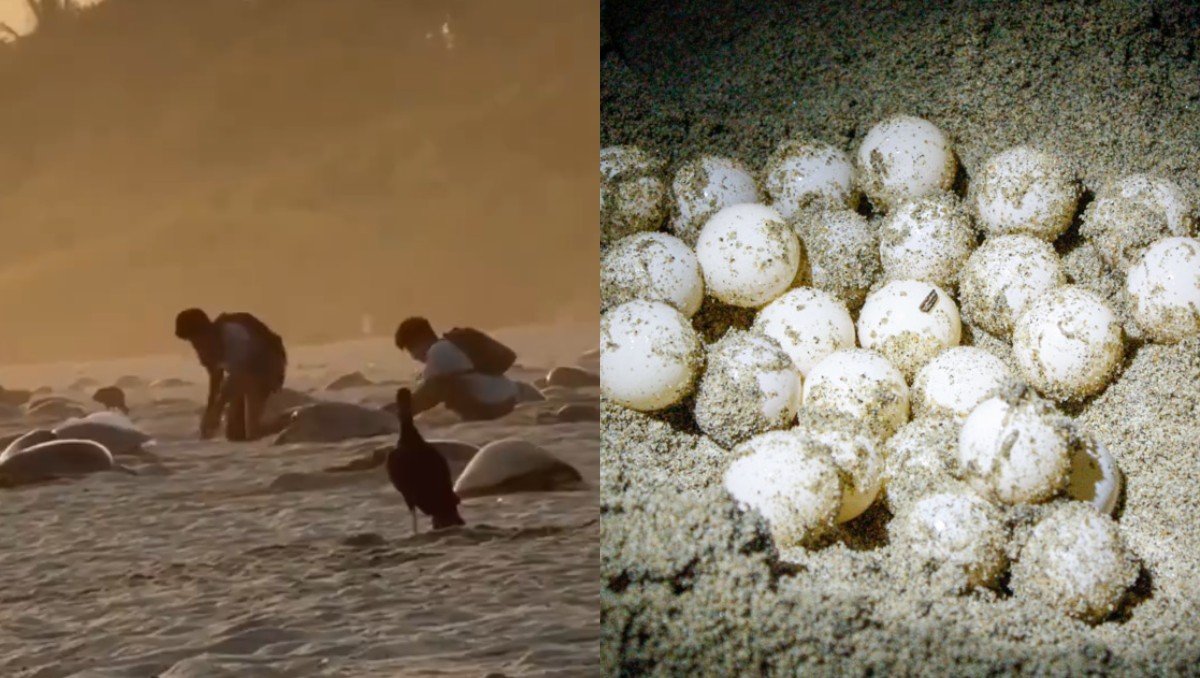 Las autoridades ya investigan los hechos. | Especial