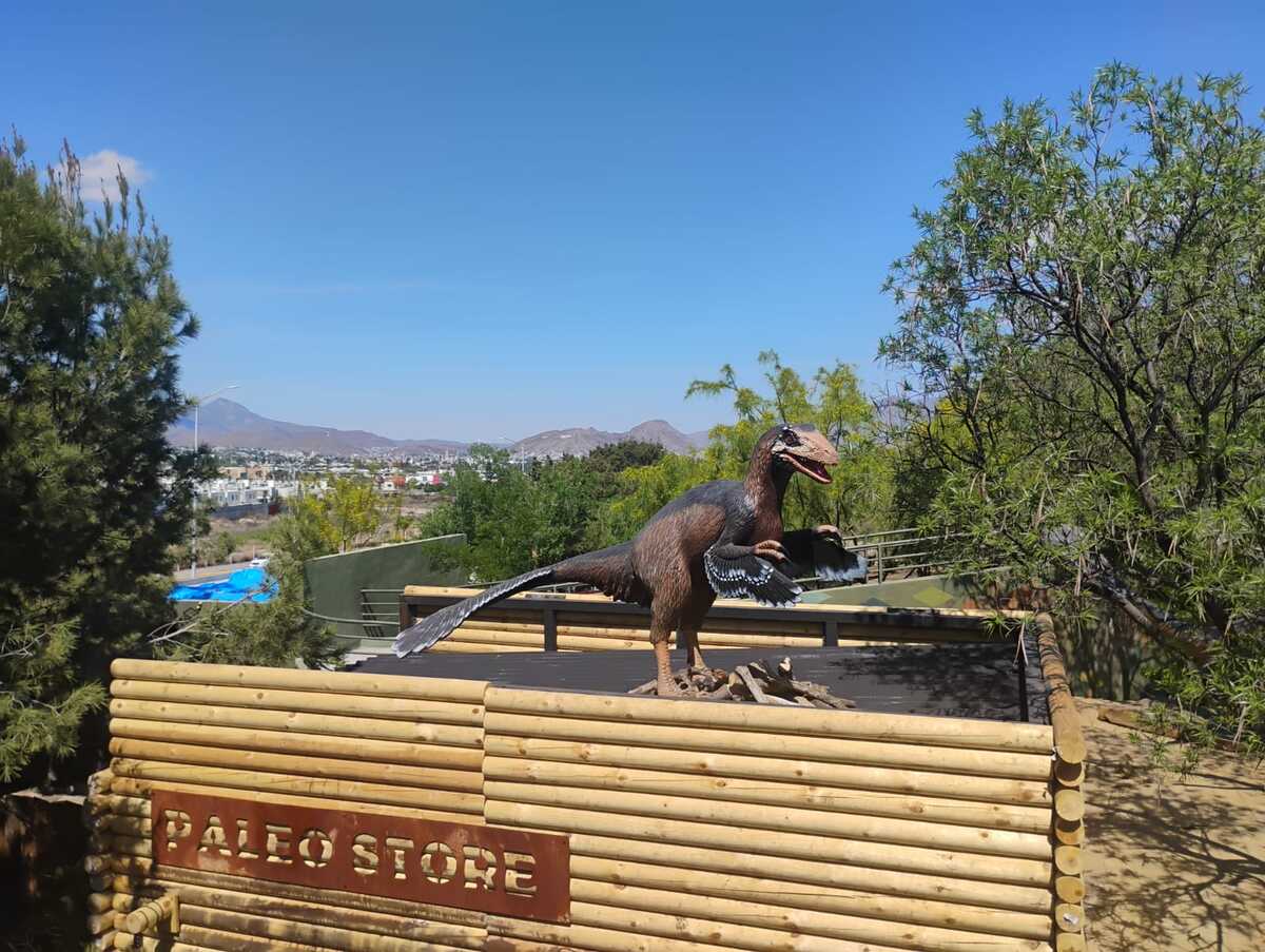 Museo del Desierto en Saltillo. | Esmeralda Sánchez