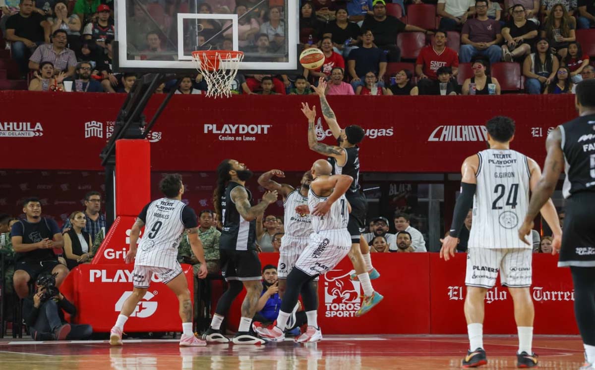 Toros Laguna. | Foto: Verónica Rivera