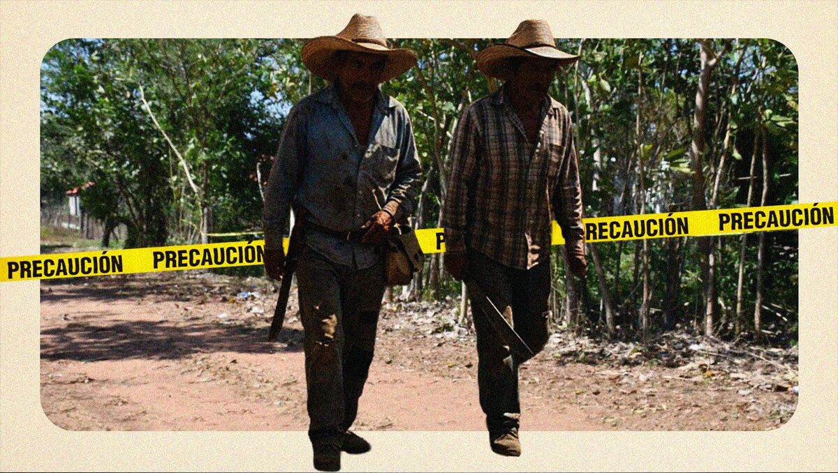 El Cártel Jalisco Nueva Generación ha asediado a habitantes del estado al menos desde 2011 | Milenio