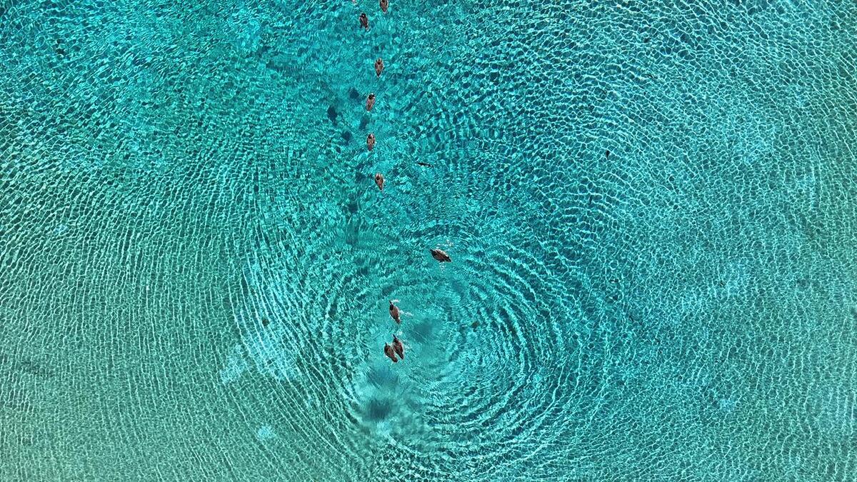 En Coahuila, piden evitar desinformación tras cierre del Río Mezquites. | Especial