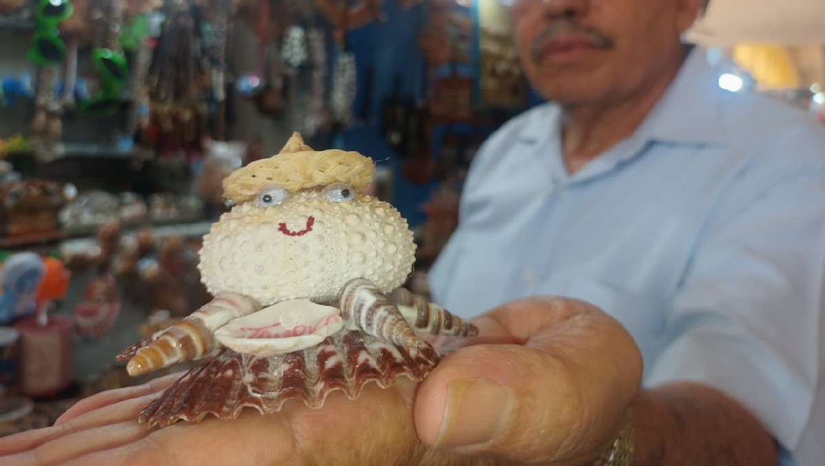 Las conchas que son utilizados para artesanías han disminuído hasta 90% en playas de Tamaulipas. (Jesús Alberto García)