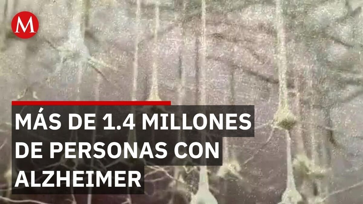 Crisis de Alzheimer en México: Impacto en 1.4 millones de familias
