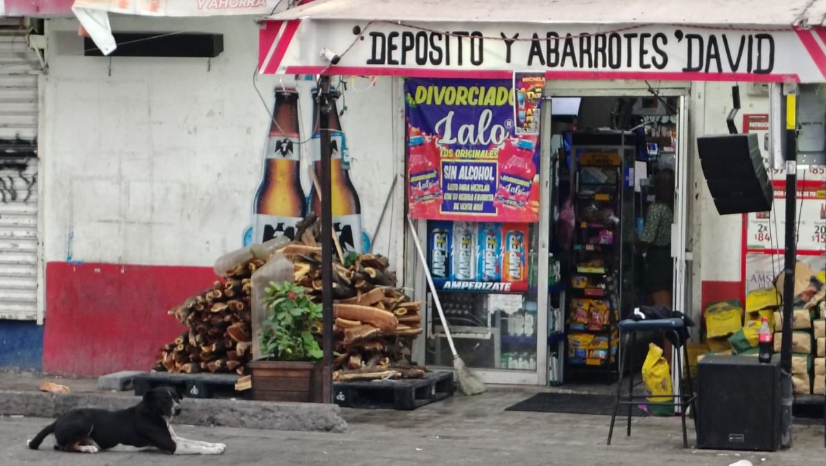 Fuerza Civil llegó a los pocos minutos y efectuaron la remisión del sospechoso. Agustín Martínez