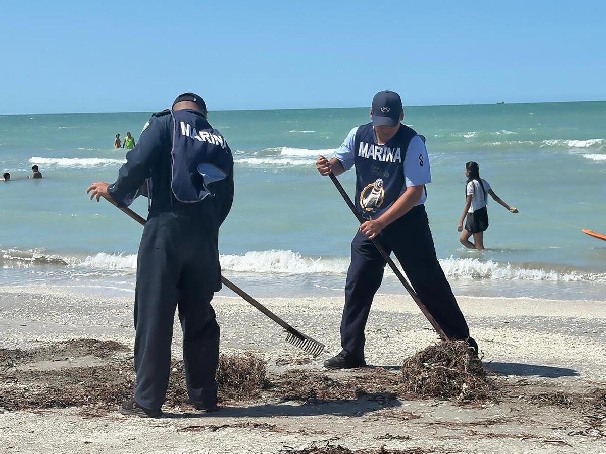 Se mantiene un monitoreo permanente de corrientes y condiciones meteorológicas. (Foto: especial)