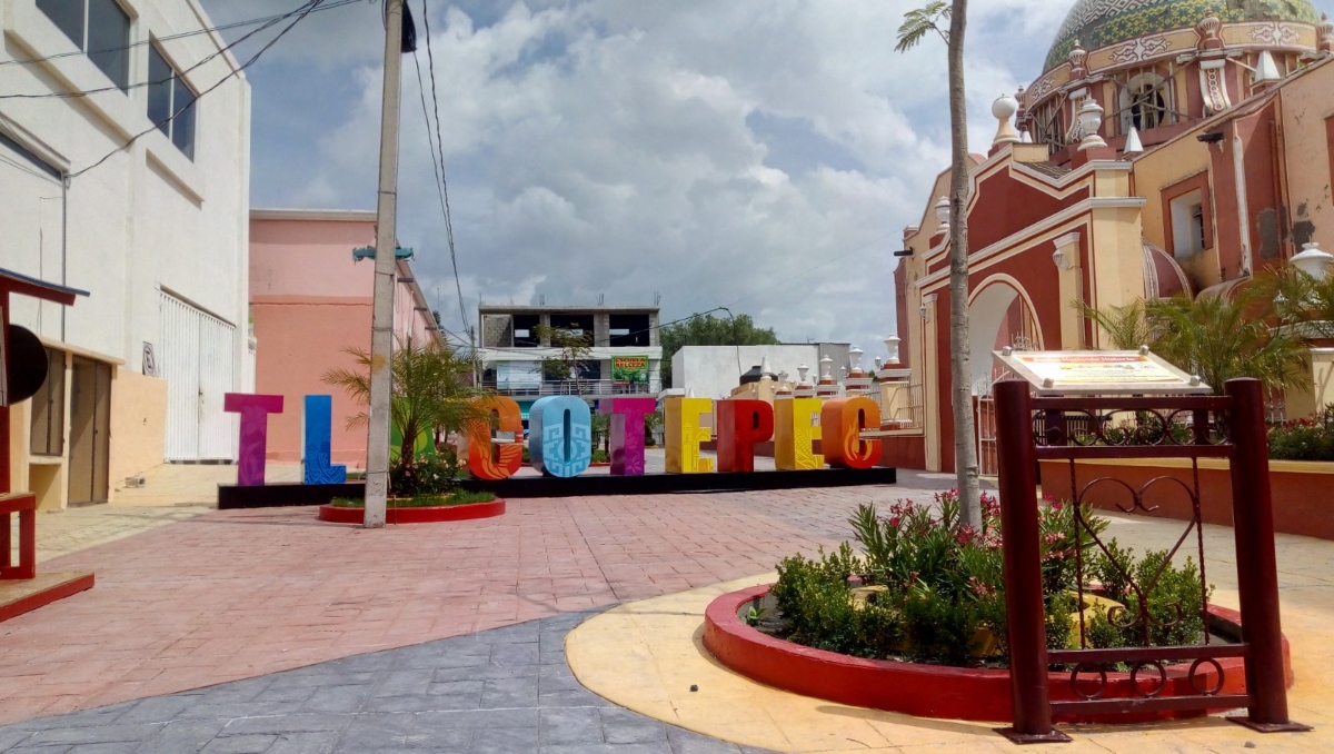 Mueren 18 perros envenenados en Tlacotepec , Puebla I Especial