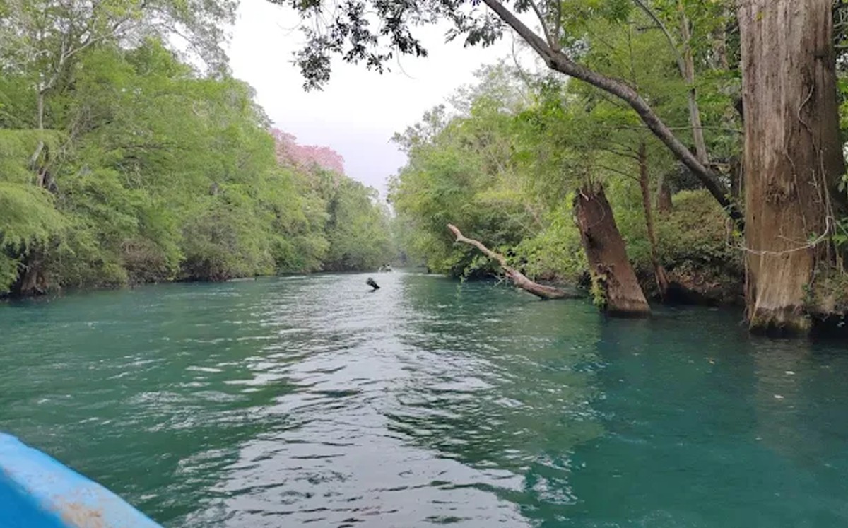 La Poza Azul, Gómez Farías, Tamaulipas. | Cortesía