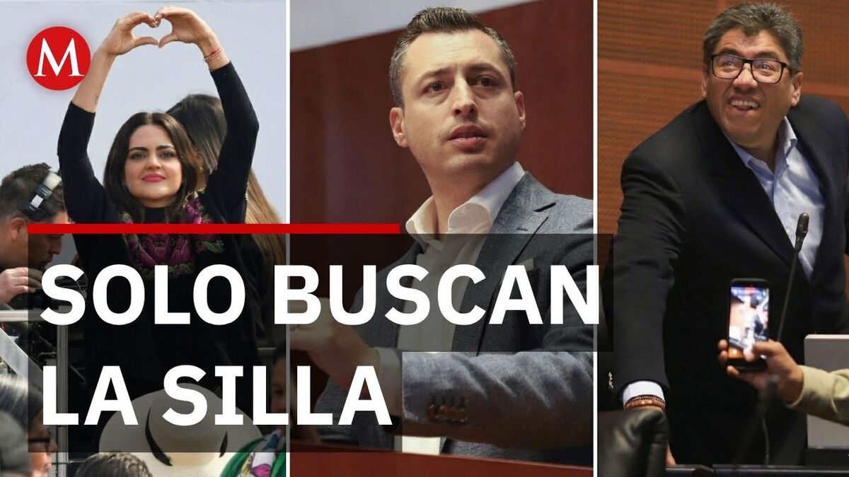 Quiénes son los senadores que buscan candidaturas para 2027