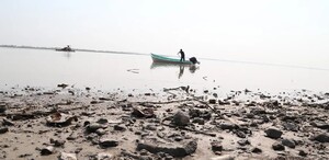 Humedales en el sur de Tamaulipas. | Yazmín Sánchez