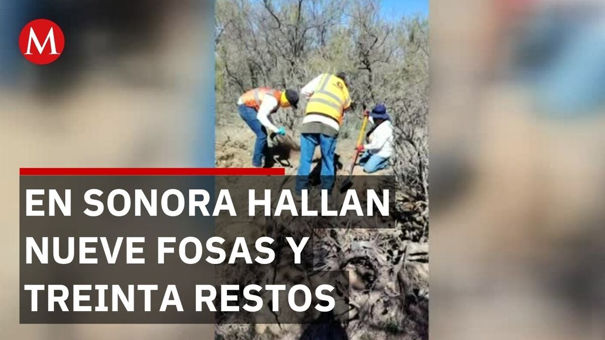 Colectivos hallan 9 fosas y 30 restos entre marzo y abril