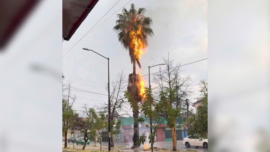 Las lluvias provocaron el incendio de una palmera ubicada en el cruce de los bulevares Hilario Medina y Saturno. | Redes sociales.