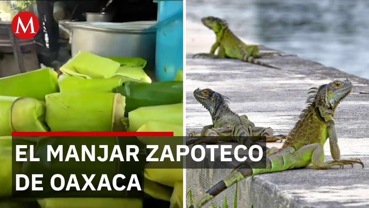 ¿Por qué se comen tamales de iguana en Cuaresma?