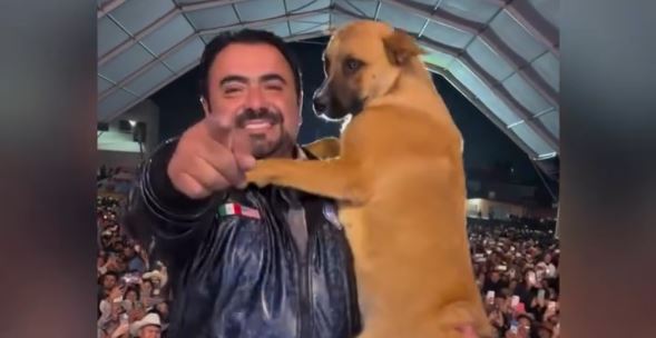 Alcalde de Zacualtipán protagoniza baile con un perrito. (Especial)