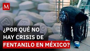 Un informe de InSight Crime revela que el mercado de fentanilo en el norte de México es regulado por grupos locales que deciden su expansión o contención. Descu