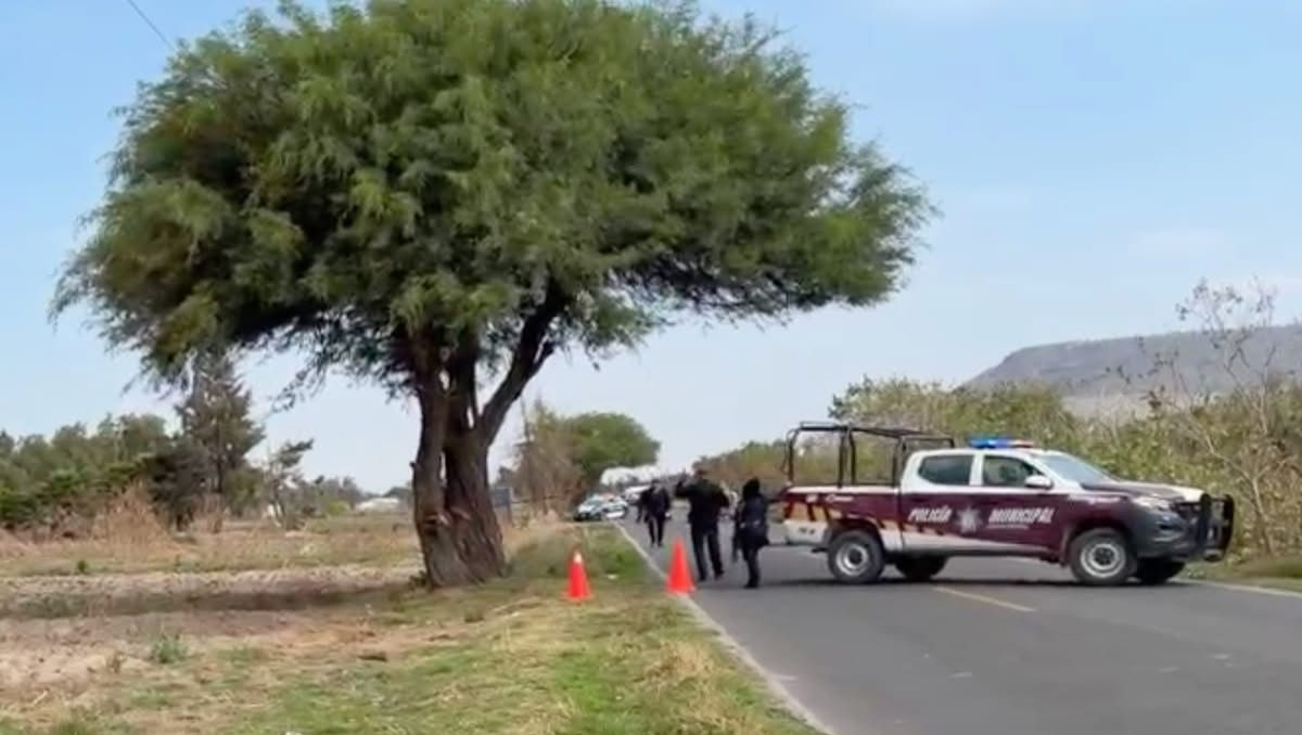 Enfrentamiento armado en Tecamachalco | Especial