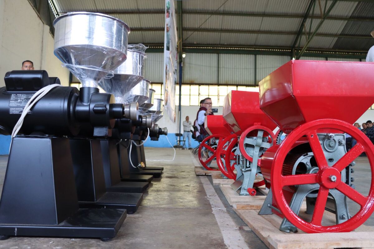 Fortalecen producción con apoyos económicos, tecnificación y entrega de insumos. (Cortesía)