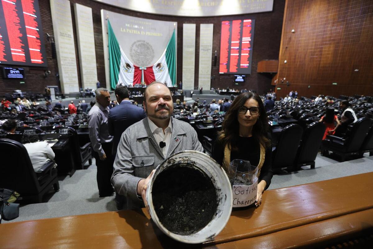Los legisladores piden conocer el origen y consecuencias del derrame frente a las costas de Veracruz y Tabasco. | Foto: Jorge Carballo