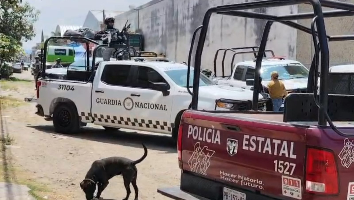 Por robo de vehículos catean inmueble en la zona de la Central de Abasto | Daniel Hernández