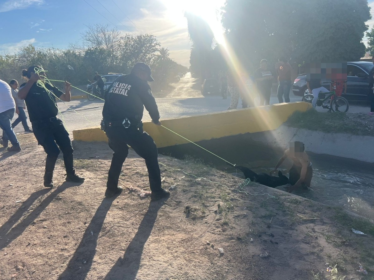 Afortunadamente, ni el dueño ni el perro resultaron lesionados. | Especial