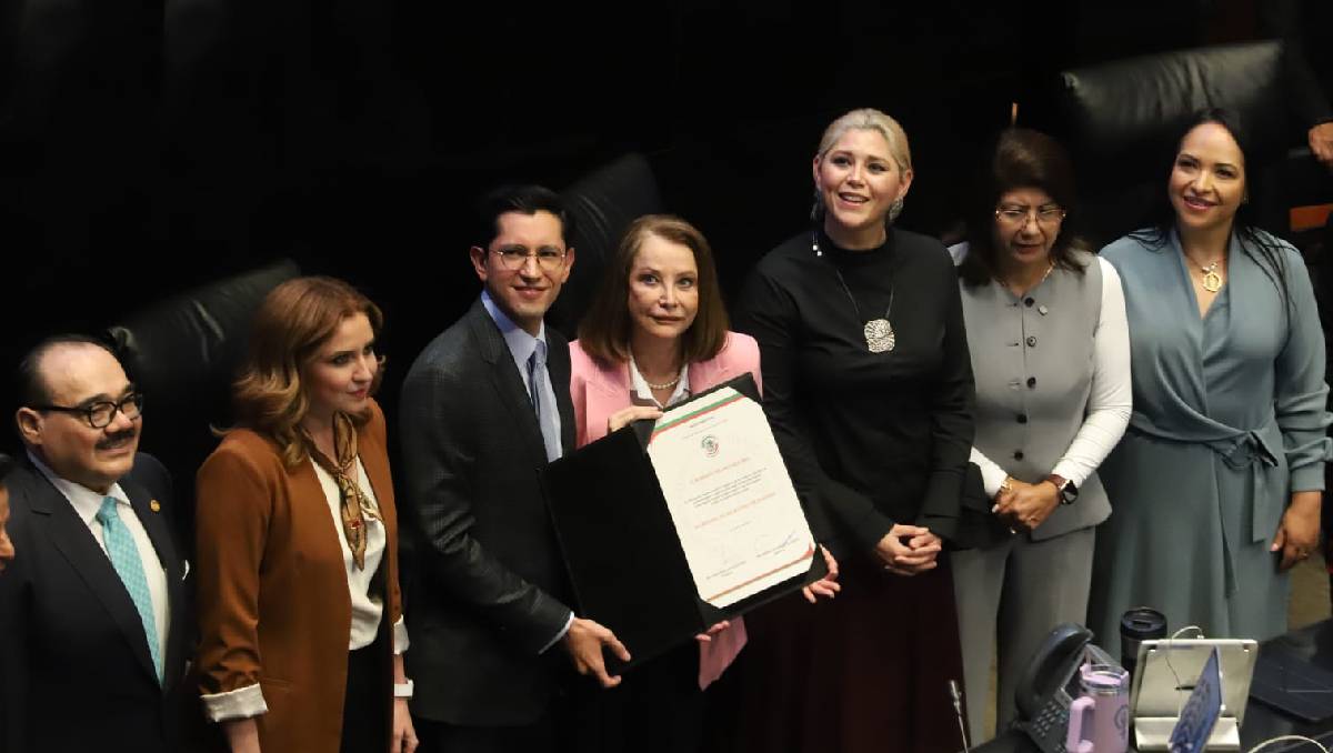 El canciller Roberto Velasco rindió protesta en el pleno del Senado (Foto: Jesús Quintanar)