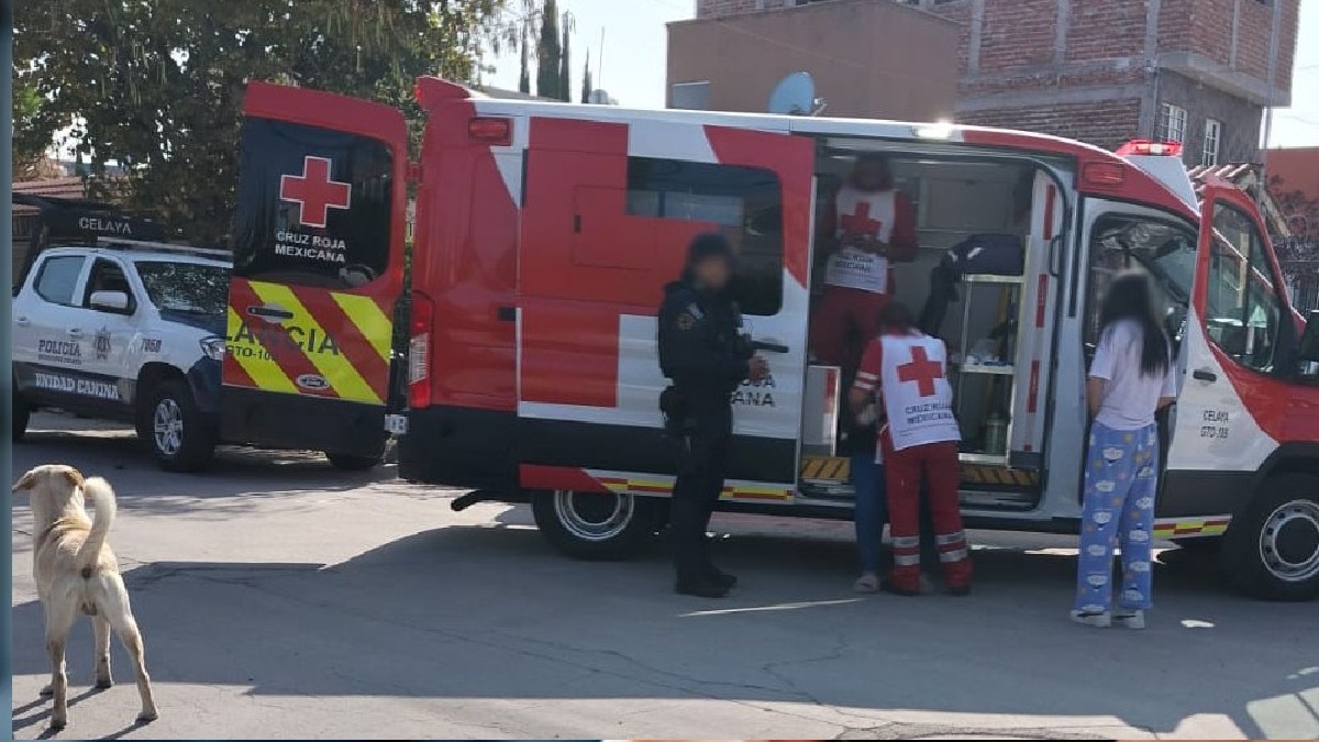 El canino fue controlado por la Unidad Canina y trasladado al Centro de Control Animal. | Cortesía.