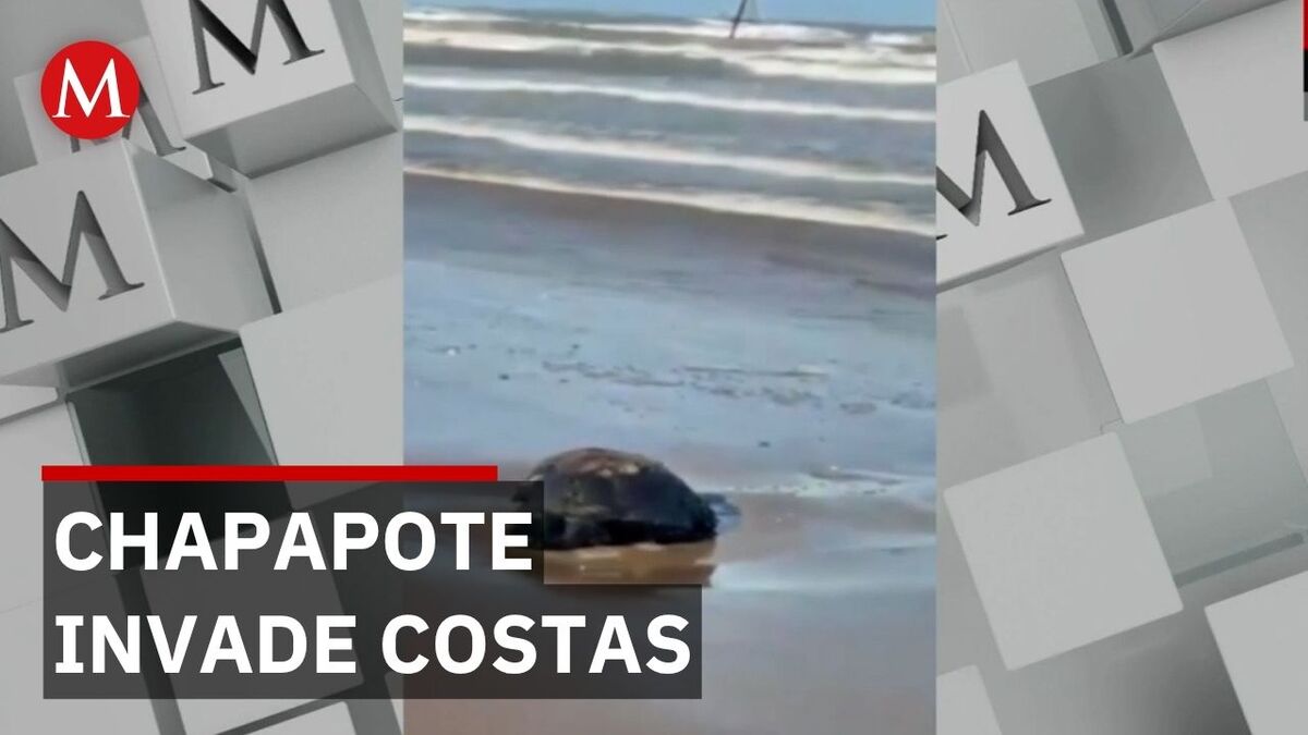 Derrame de petróleo afecta Matamoros y llega a costas de Texas