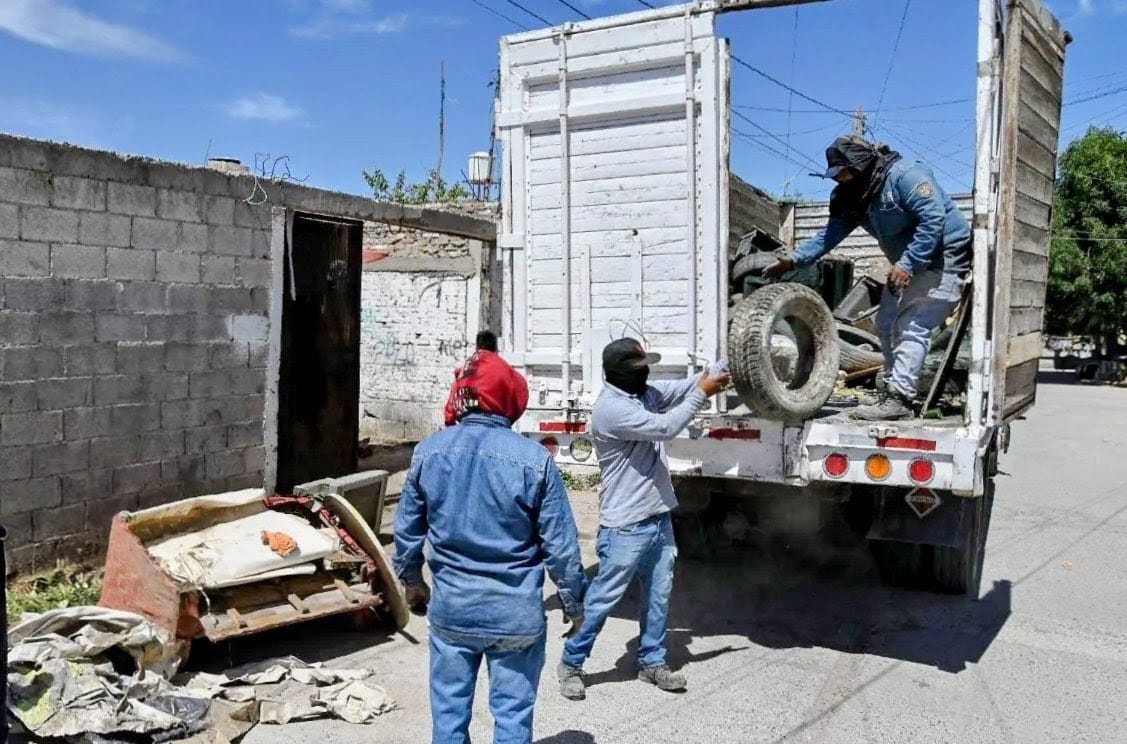 Nueva directora de Ecología de Gómez Palacio prioriza reforestación. | Especial.